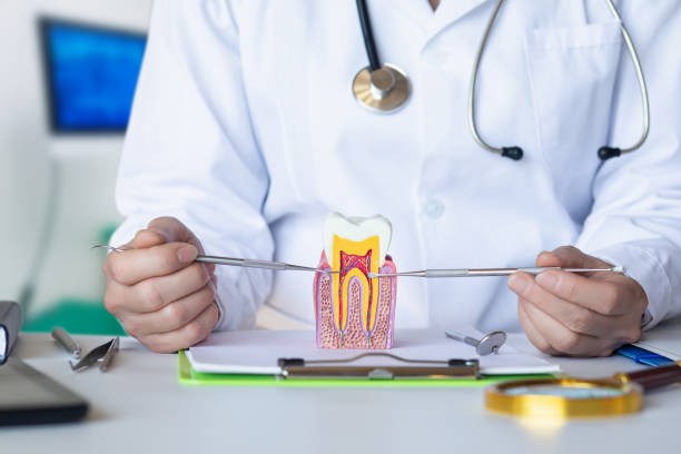 Best After-Hours Dental Trauma Care in Senatobia, MS
